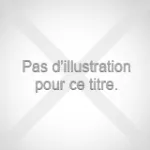Mémoire de Master vignette