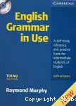 English grammar in use vignette
